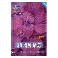 紫苏种子春季四季食用紫苏阳台盆栽紫苏子种籽农家庭院蔬菜种子孑