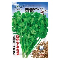 耐热香菜种子山东农家香菜籽种春夏四季速生芫荽种孑盆栽蔬菜大全