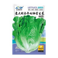 意大利生菜种子罗马生菜王耐抽薹生菜种籽肉厚脆嫩四季播青菜种子