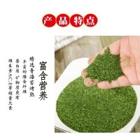 【源头好货】 散装即食青海苔、石莼、海青菜 SC认证出口报检 10千克