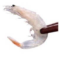 源头直供淡干海米虾皮虾米皮优质淡干水晶虾皮虾干即食海鲜干货