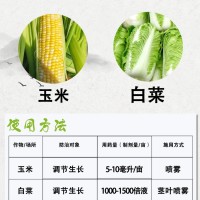 国光 优乐红 8%胺鲜酯 水剂 玉米 白菜 植物生长调节剂