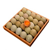 广西新鲜绿壳土鸡蛋30枚礼盒装直供餐饮电商批发代发商用整箱