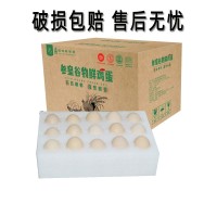 2026年新产虫草蛋柴鸡蛋30枚鲜蛋类餐饮生鲜