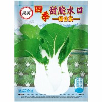 揭美四季甜脆水口白菜种子 抗热嫩甜矮脚束腰白菜籽 蔬菜种子20克 5袋