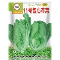 揭美11号包心芥菜种子 10克包芯芥菜酸菜种子 阳台菜园庭院种植 2袋