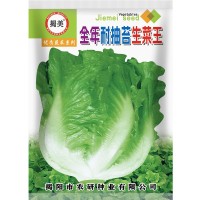 揭美10克意大利生菜种子 生菜籽 农业大田种植 阳台园艺盆栽 2袋
