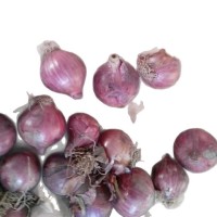 小红葱 3-5cm SHALLOT 出口菲律宾 印尼 28吨