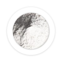 大蒜粉 脱水大蒜粉 烧烤调味大蒜粉散装 厨房调味料 现货供应批发