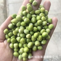 冷冻蔬菜馅料餐饮方便食品速冻厂家冷冻青豆仁冷冻青豆粒青豆 2吨