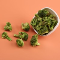 供应冻干西兰花FD西兰花冻干蔬菜脱水蔬菜冻干食品冻干西蓝花 2公斤