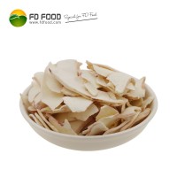 冻干鱿鱼 片 干 方便面配料 脱水干燥 厂家供销 速食 鱿鱼足 12kg