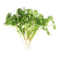 美国耐热香菜种籽大叶夏季高产耐寒蔬菜种子四季食用盆栽菜孑菜籽 2袋