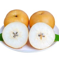 正宗山东丰水梨新鲜时令水果山东冰糖梨子秋月梨整箱包邮现摘现发