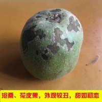 红心猕猴桃沧桑果（花果）爆甜猕猴桃当季水果新鲜应季水果